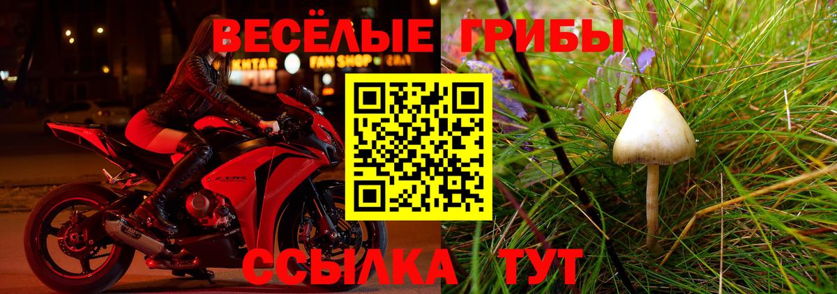 Псилоцибиновые грибы прущие грибы  Вход с VPN  где найти наркотики  Шахты 